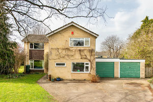 Photo 17- click for photo gallery